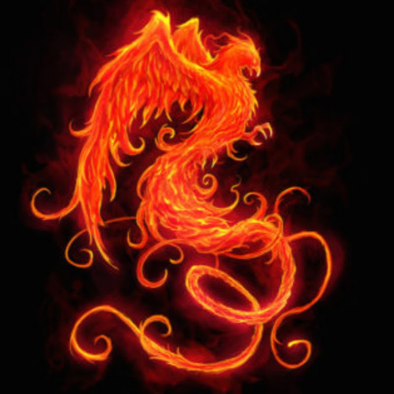 Phoenix Rising