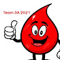 Team 3A 2021 logo