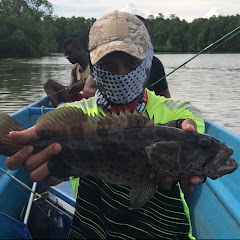 Kail Timika net worth