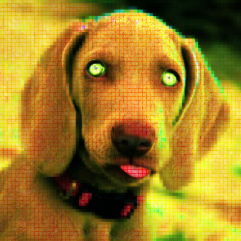 The Code Hound