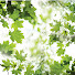 D5_l77c5EHc-channel-avatar-mytubefora11