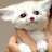 @user-fp6cf7kn1r