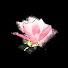 7kcVu5q-kJc-channel-avatar-Fort Magnolia