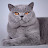 @احمدابومالك-د5ه