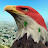 @محمدالواصل-غ7خ