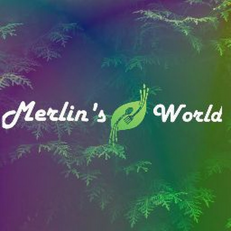 Merlin's World
