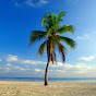 Relaxation Windows 4K Nature Avatar