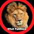 7HZiID6jGgU-channel-avatar-WILD Panthera