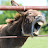 @huealert7193 Avatar