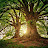@user-hj8wh7gg8h