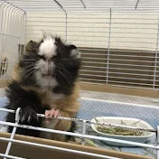 気になるおもしろ情報
