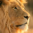 S7OrJj9NlbQ-channel-avatar-Amazing Documentaries