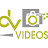 DV Videos Official