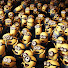 aRKB4d95g1E-channel-avatar-Lore VH
