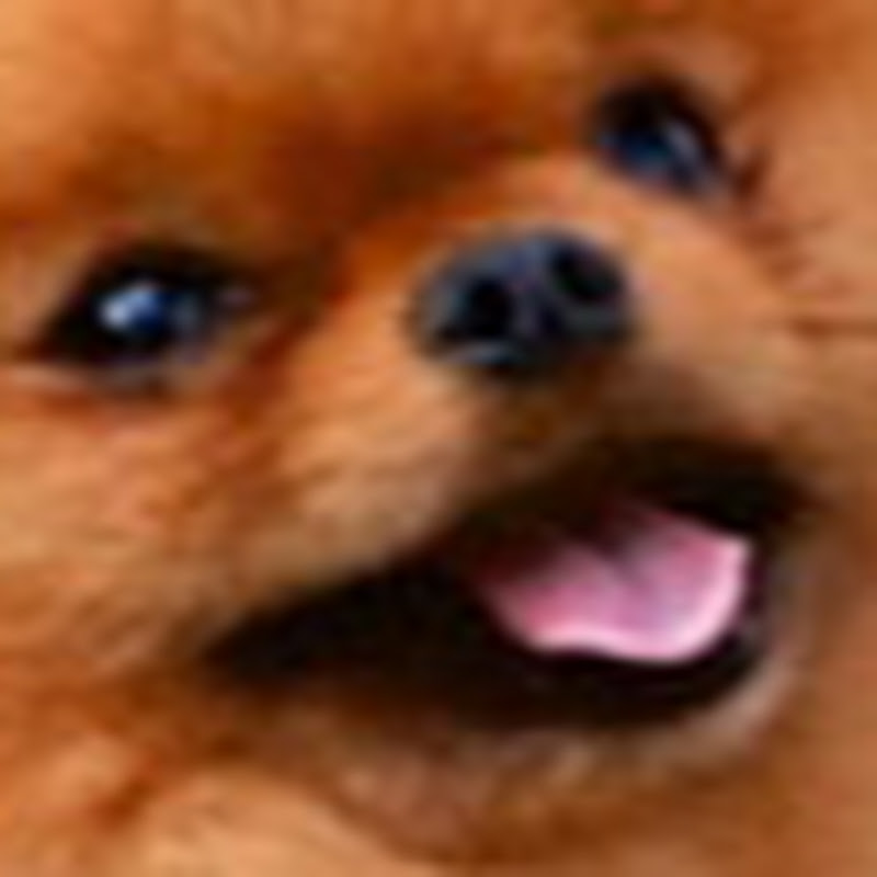 moistdx