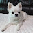 @모모맘-y5h