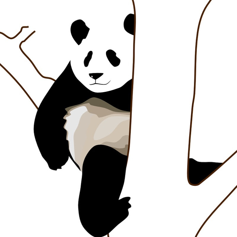 Money Panda