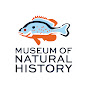 Auburn University Museum of Natural History logo