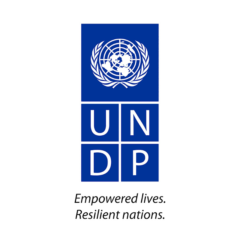 UNDP Suriname