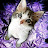 @ilikebutteredtoast1514