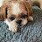 @효인-d2e