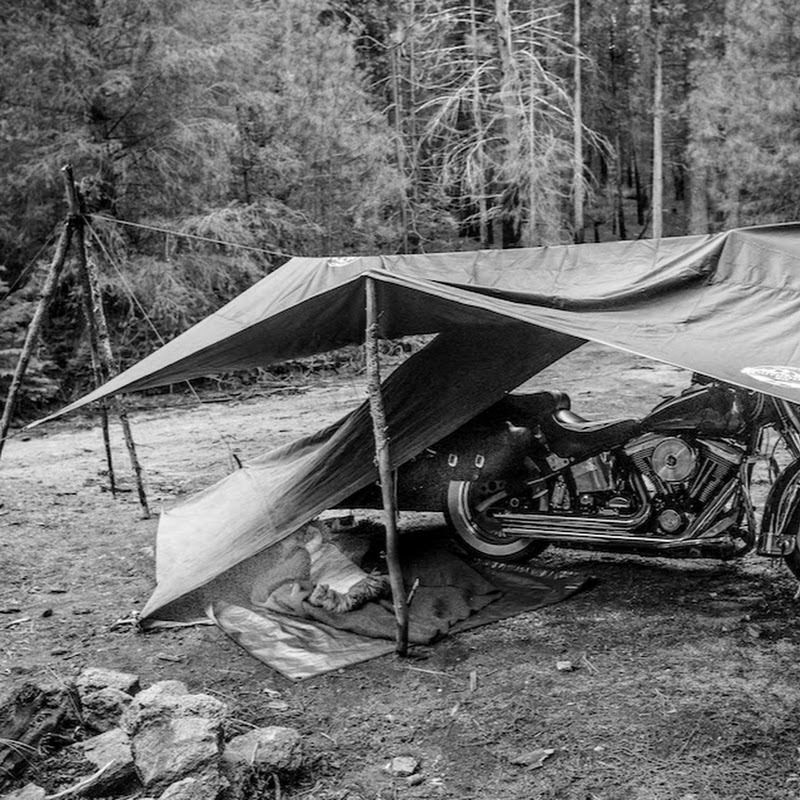 Biker Bushcraft
