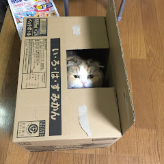 みきゅ