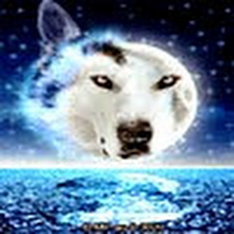 TiMOSTAR