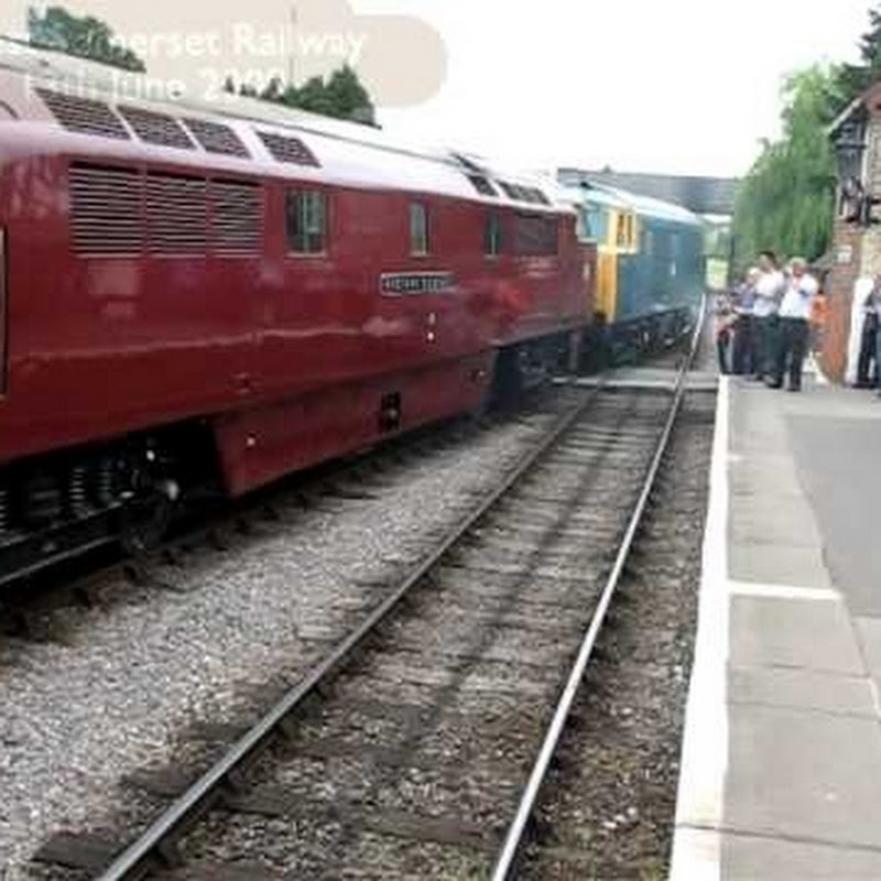 thistle5rail