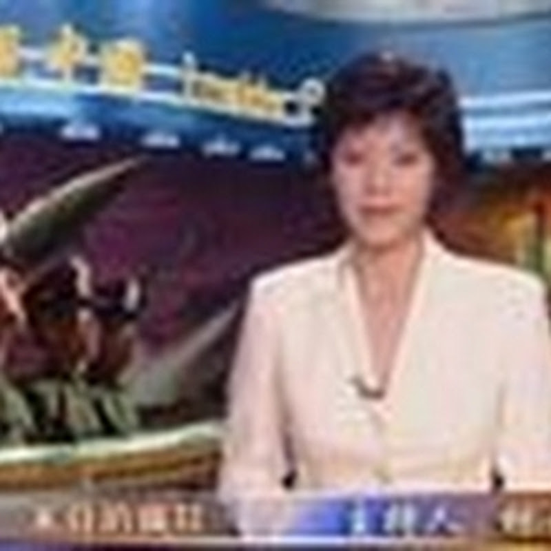 ntdchinainsight Logo