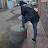 @bensonkimani4815