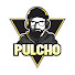 N31yzEvht9A-channel-avatar-Pulcho
