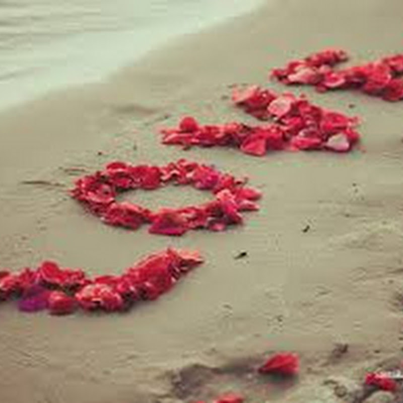 always shiplove icon