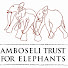 big4s3Tjyx4-channel-avatar-AmboseliTrust