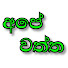 OxOXcZMoVWU-channel-avatar-Ape Waththa