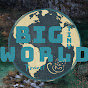 BIG tiny World Travel logo