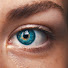 XM-N8POflaw-channel-avatar-Purpose Guides Institute