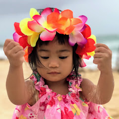 Harper's Travel Adventures channel thumbnail