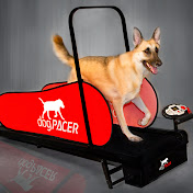 dogpacer