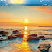 @shahdanna1693
