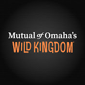 Mutual of Omahas Wild Kingdom