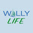 Df7hgoMpEUI-channel-avatar-Wally Life