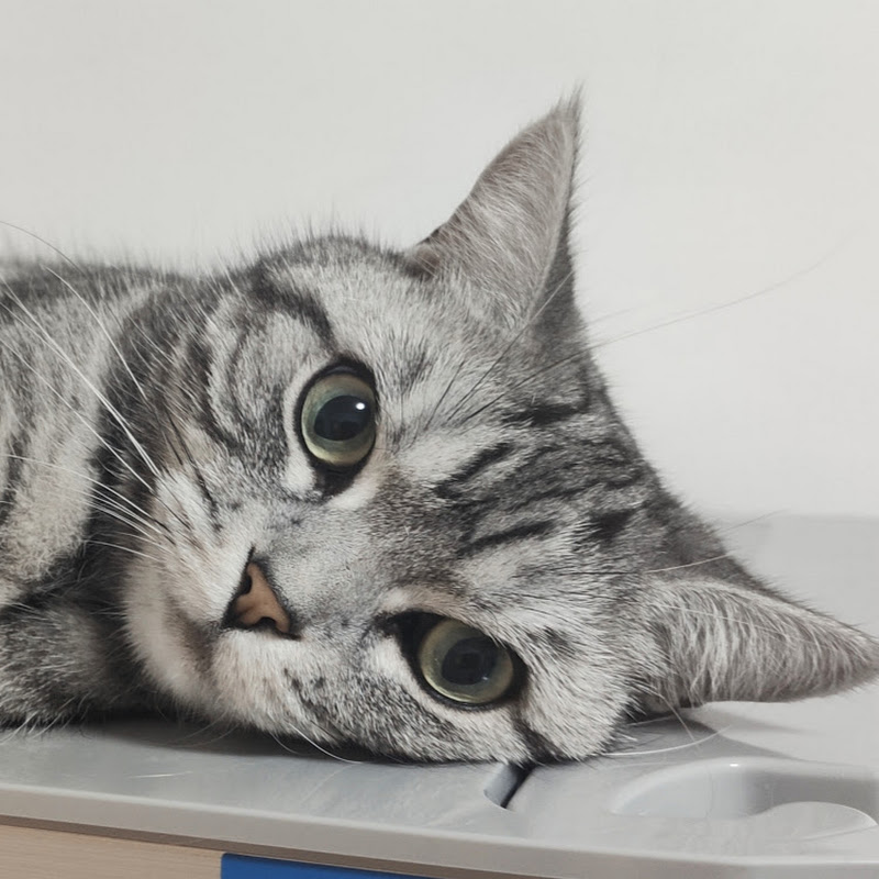 影视飓风的舆情，说明互联网已经烂完了