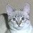 @user-nq5ui3dv7t
