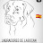 labradores_labocan 1