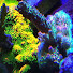 3sujStlVUSc-channel-avatar-Dave's Nano Tanks
