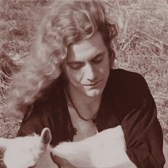 lucy in the sky net worth