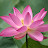 @sandylivinggratefulness9754