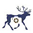 1gCdt0aVTbE-channel-avatar-Wildlife Moments India