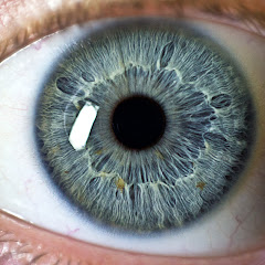 ΔΙΑ ΒΙΟΥ ΕΚΠΑΙΔΕΥΣΗ ΣΤΗΝ ΟΦΘΑΛΜΟΛΟΓΙΑ